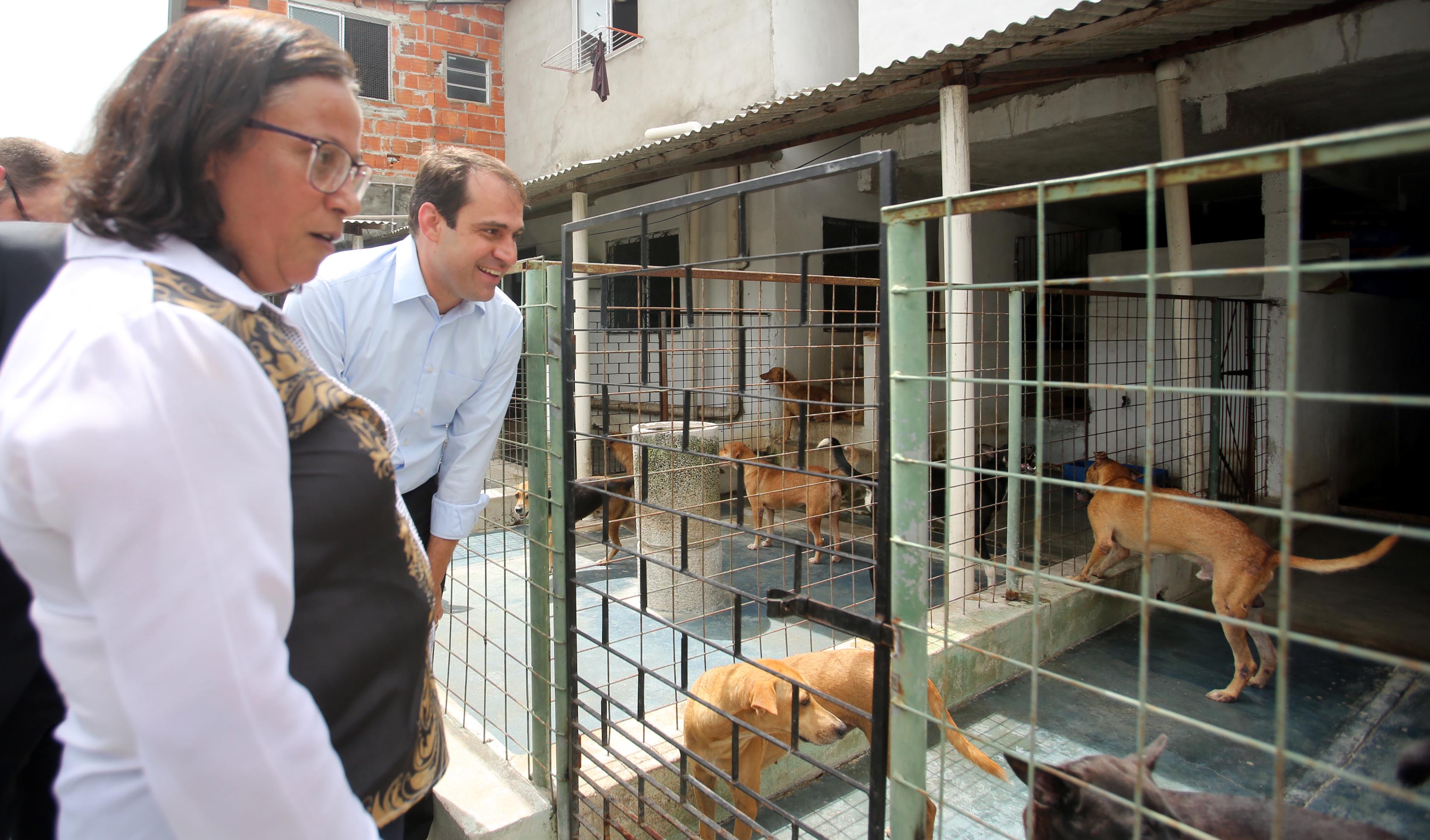 Salmito Filho olha cercado com cachorros no abrigo são lázaro